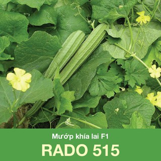 Hạt giống Mướp Khía Lai F1 Rado 515 gói 10 hạt
