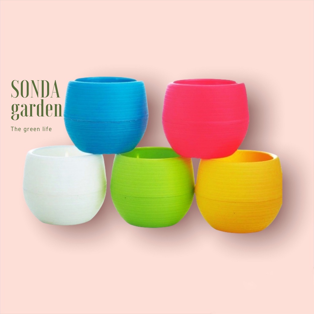 Chậu nhựa tròn mini SONDA GARDEN kích thước 7x7cm