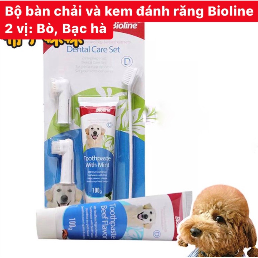 Bộ Đánh Răng Chó Mèo Bioline 100g