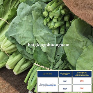 5GR - HẠT GIỐNG RAU CẢI RỔ