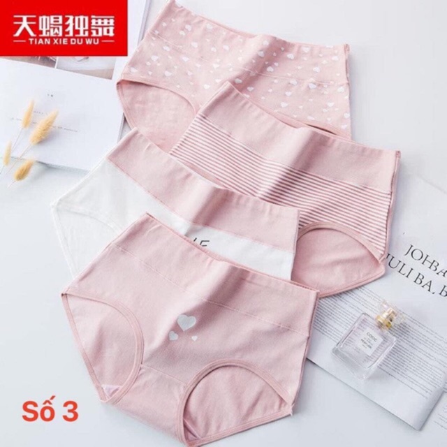 Set quần chip
