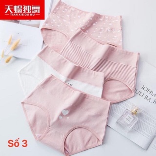 Set quần chip