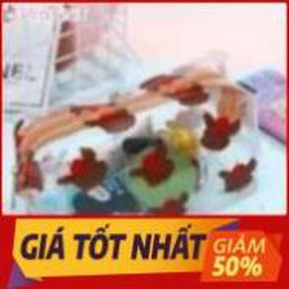 445566 túi đựng bút trong suốt in họa tiết dễ thương