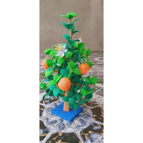 Cây ăn quả mầm non