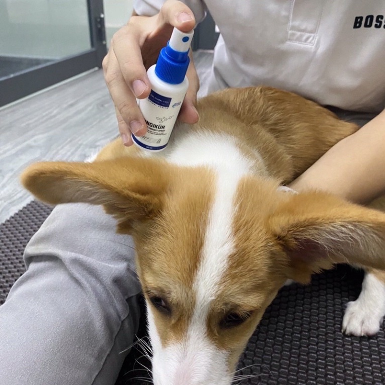 Lọ Xịt Nấm Mèo Dành Cho Chó Mèo TD Alkin Mitecyn