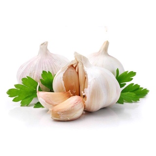 Tỏi Đà lạt tươi ngon, xanh, sạch.