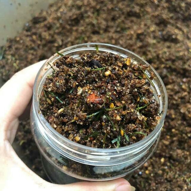 Hộp chẩm chéo gia vị núi rừng tây bắc