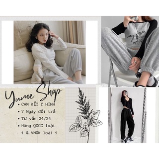 Quần len tăm, jogger, quần nỉ nhung tăm bo gấu QCCC loại 1