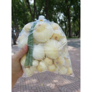 MỘNG DỪA TƯƠI