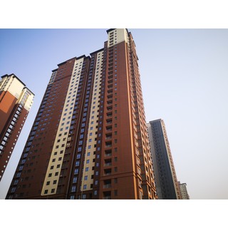 SƠN ĐÁ HOA CƯƠNG DDM