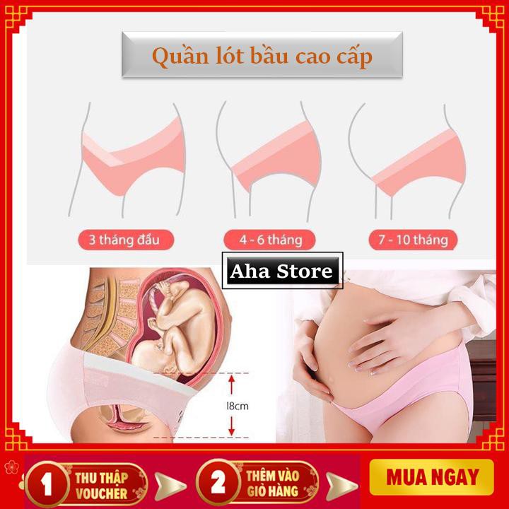 Quần Lót Bầu cạp chéo cao cấp chất cotton kèm túi Zip Aha Store
