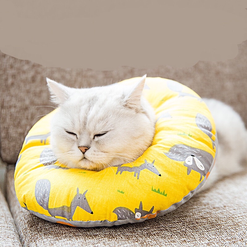 Vòng cổ chống liếm cho chó mèo