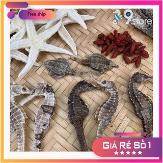 1 cặp cá ngựa 8-10cm