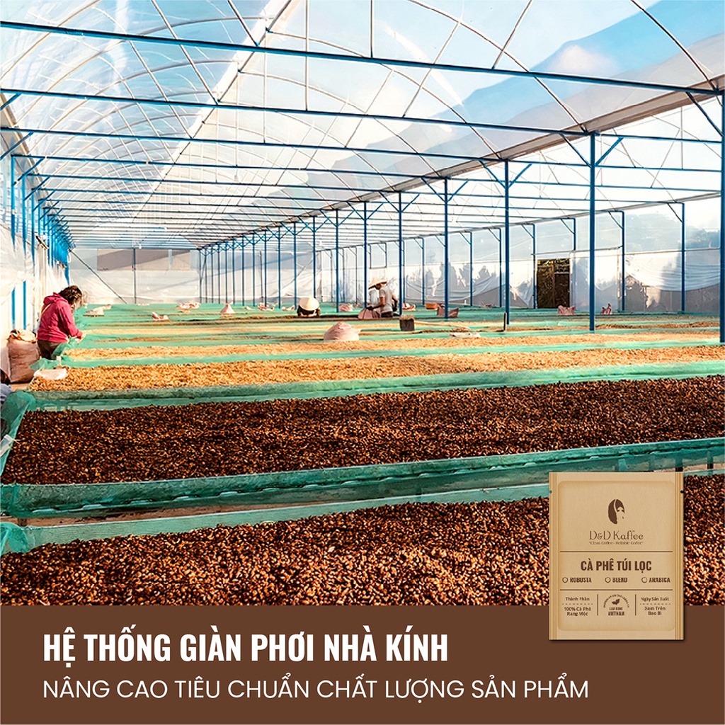 Cà Phê Phin Giấy Nguyên Chất Rang Mộc D&amp;D Kaffee -  [Combo 5 túi và 10 túi] Tiện lợi đi du lịch - 12gr/Túi