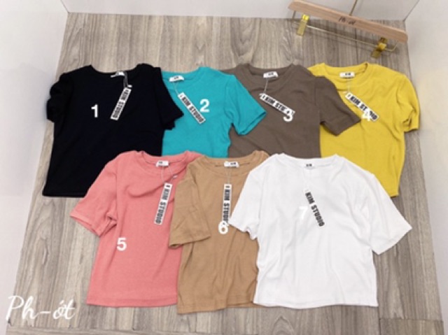 ÁO CỔ TRÒN MÁC KIM CHUẨN MS14224