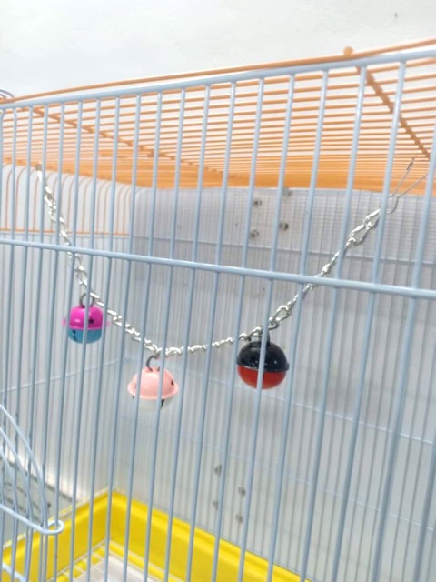 1 Lục lạc to cho pet