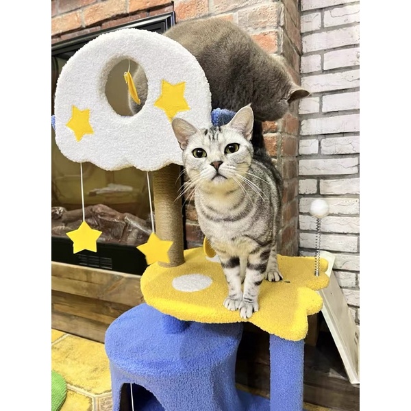 Cattree chonlder Xanh Navy siêu đẹp💙 Hình ảnh thật sản phẩm do khách hàng cung cấp💙