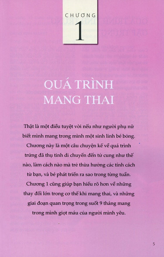 Sách - Cẩm nang Chăm Sóc Bà Mẹ Mang Thai: Hành Trình Mang Thai - Những Điều Cần Biết &amp; Sự Chuẩn Bị Làm Cha Mẹ