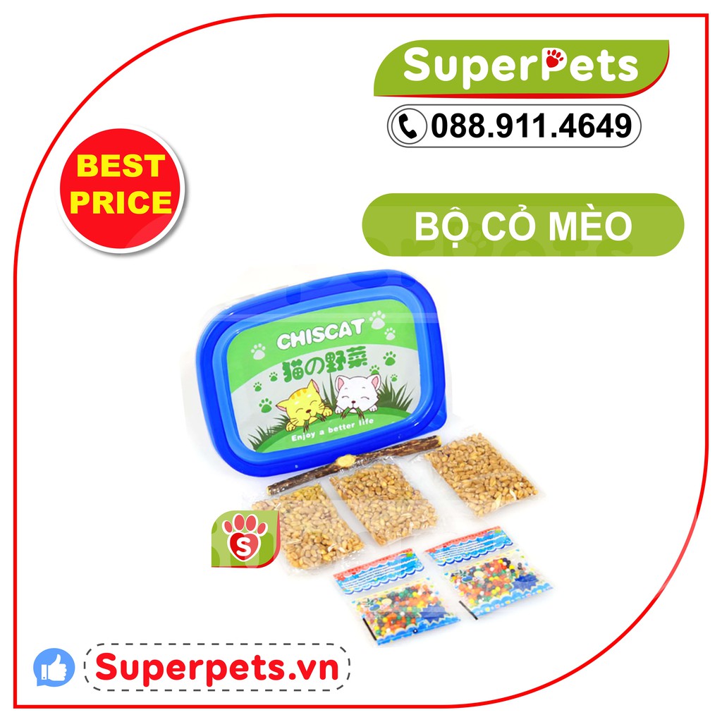 [ SET HỊN ] Cỏ mèo tươi- Set cỏ mèo tự trồng kèm que gỗ xịn