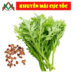 20gr HẠT GIỐNG RAU TẦN Ô, CẢI CÚC DỄ TRỒNG
