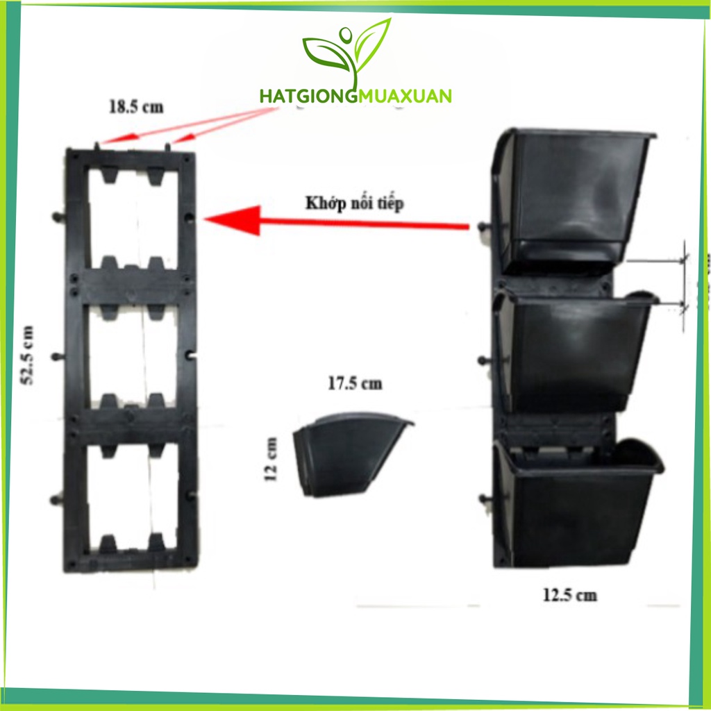 Bộ 3 chậu vườn treo tường đứng hay module vườn tường