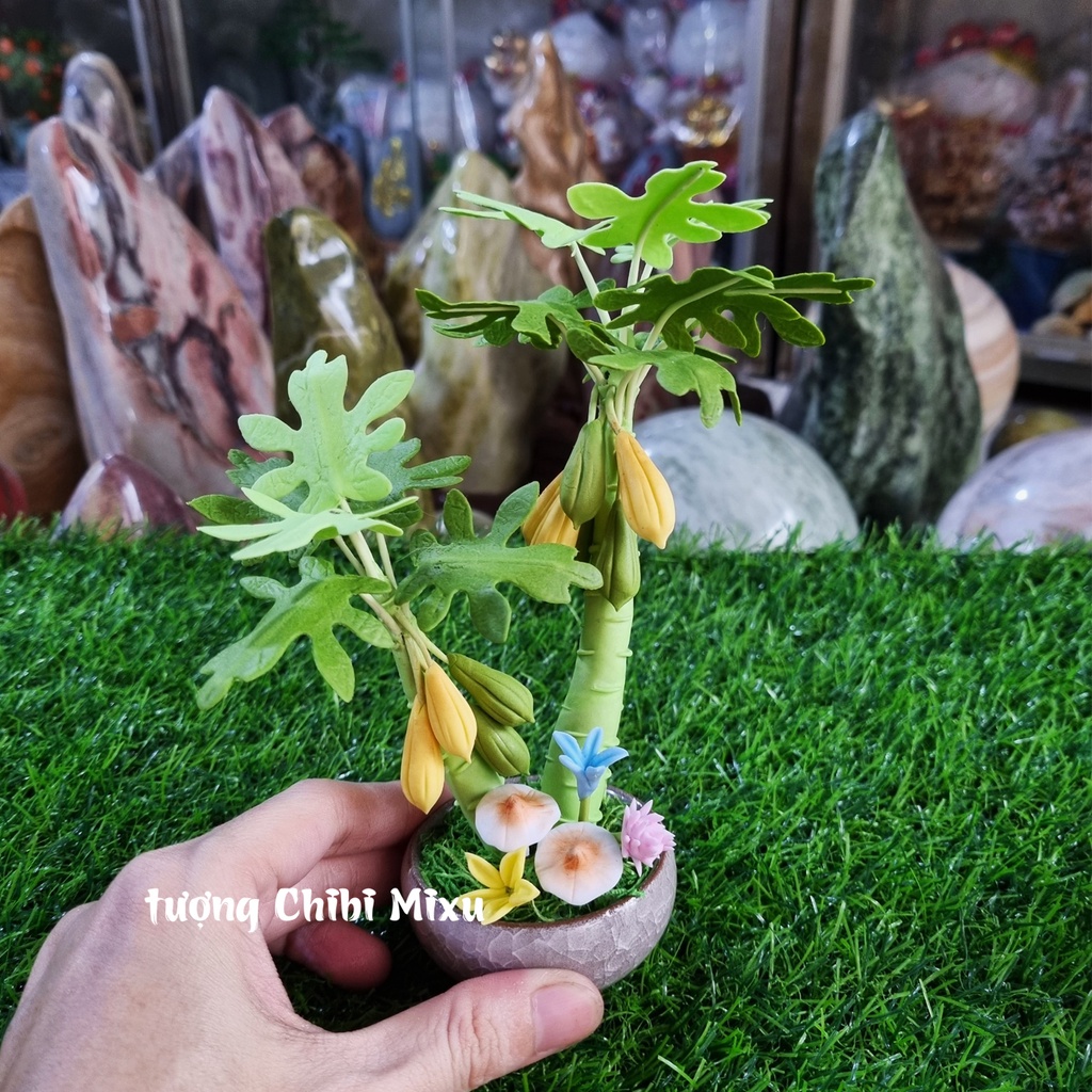 Chậu cây đu đủ 16cm bằng đất sét Nhật - tác dụng chiêu tài