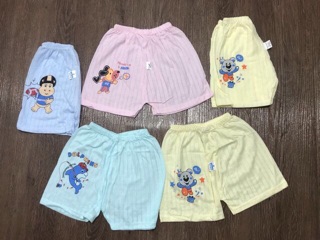 Combo 10 quần cotton giấy màu