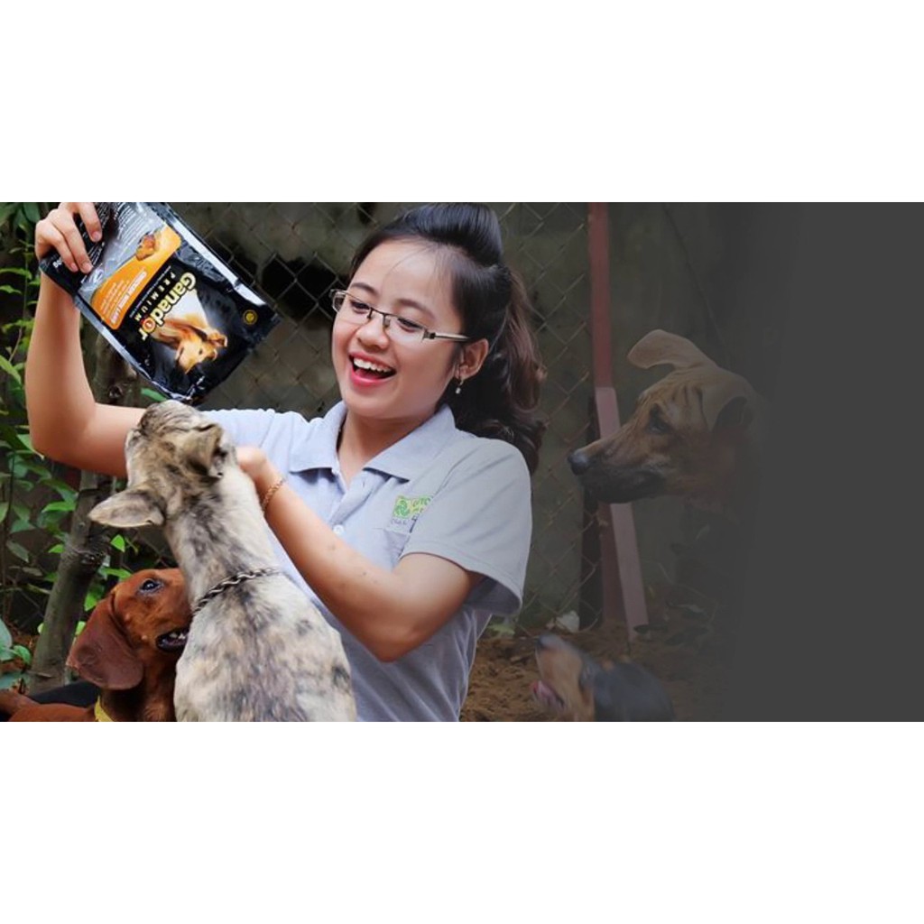 Thức Ăn Chó Con Ganador Puppy Vị Sữa Và DHA