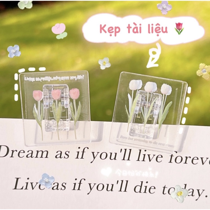 Kẹp tài liệu hình hoa tulip trong suốt dễ thương