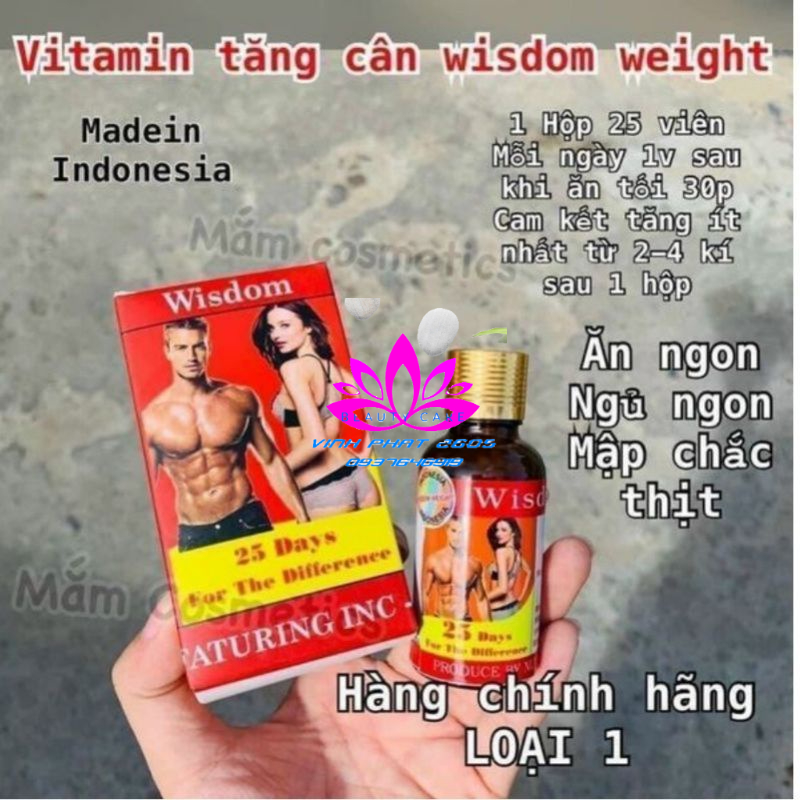 Không Bán Nhái Tăng Cân Wisdom Indonesia hộp 25 viên