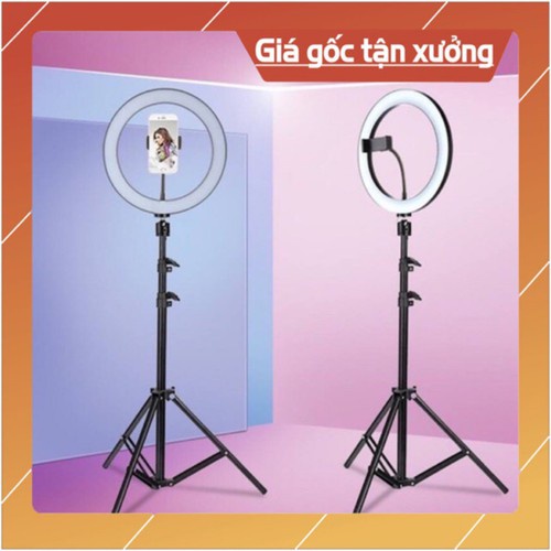 Đèn led livestream 26cm hỗ trợ bắt sáng cho spa, nối mi, livetream fb,quay tiktok, giá không bao gồm chân
