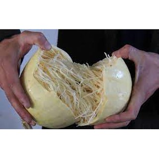 Hạt giống bí  mì sợi ( gói 5 hạt)