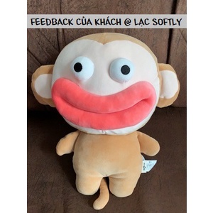 Order | Khỉ bông môi trề mắt trố độc đáo lạ mắt