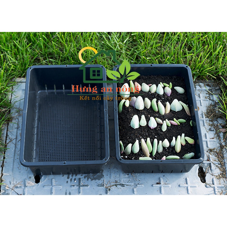 KCN26 - 1/2/34/5 Khay chữ nhật size 26x17x7cm - nhựa PP dùng trồng rau mầm, ươm sen đá xương rồng