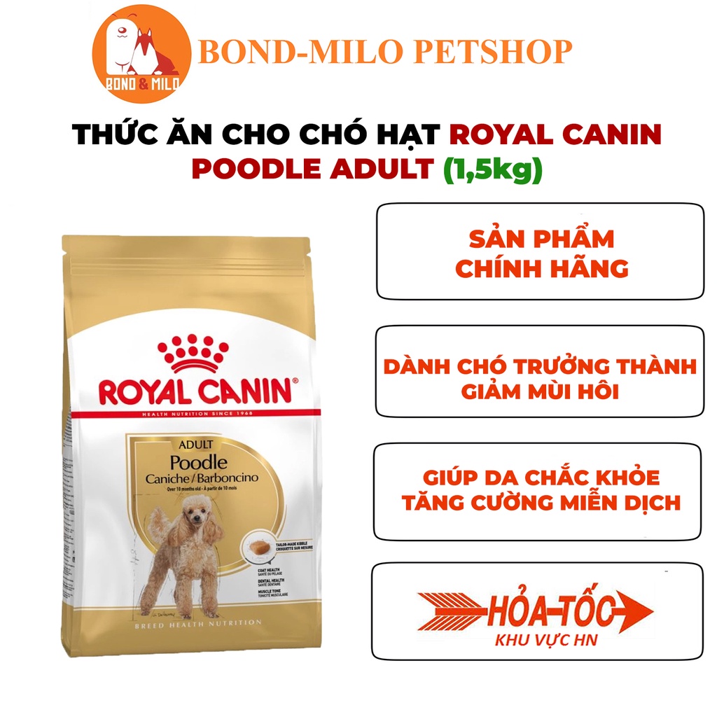 THỨC ĂN CHO CHÓ HẠT ROYAL CANIN POODLE ADULT BAO 1.5KG - BONDMILO SHOP