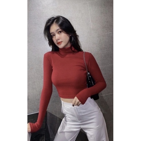 Áo thung crottop tay dài cổ lọ