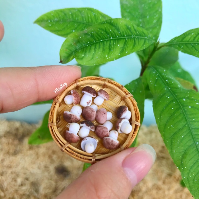 Nấm miniature minifood