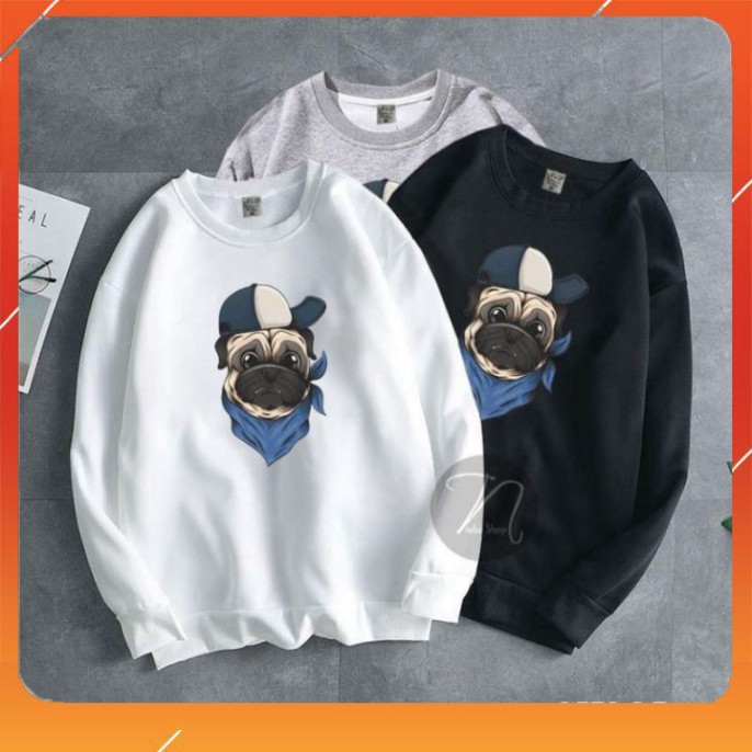 Áo sweater in hình cute (ib mã trên hình chọn mẫu ạ) | BigBuy360 - bigbuy360.vn
