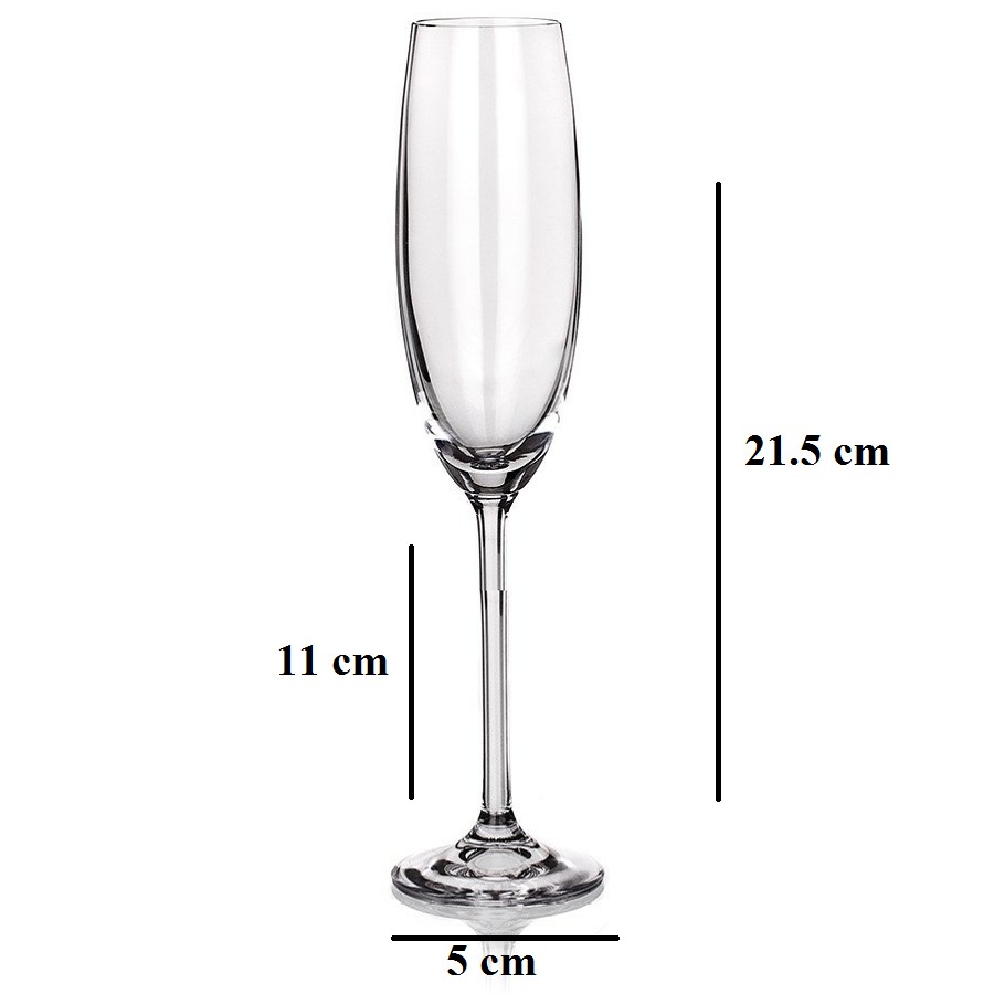 Bộ 6 Ly uong ruou vang sâm panh, ly cốc uống ruou vang 165ML, wine glass