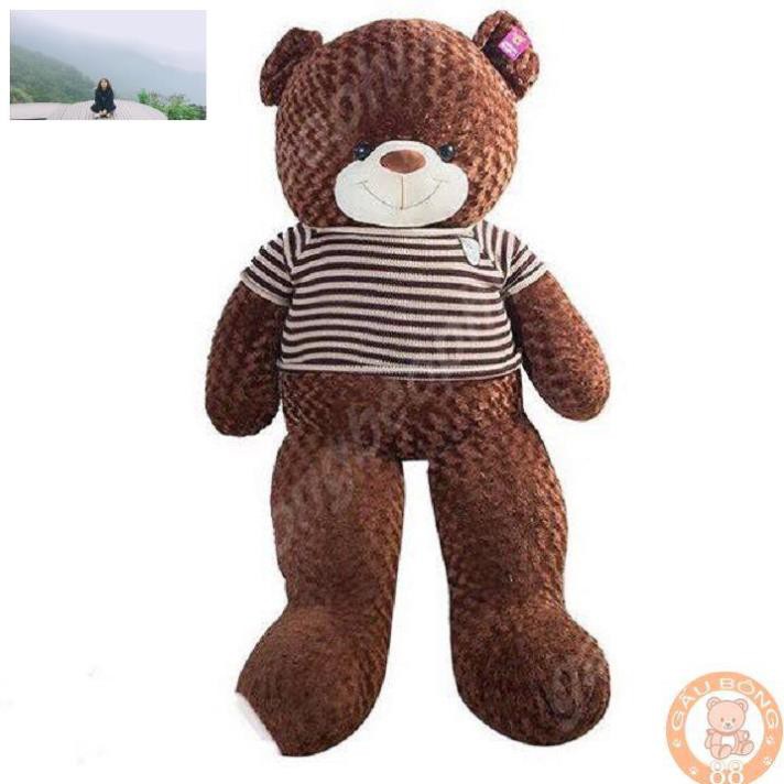 ( Rẻ vô địch ) Gấu Bông Teddy cao cấp khổ vải 1m8 cao 1m6