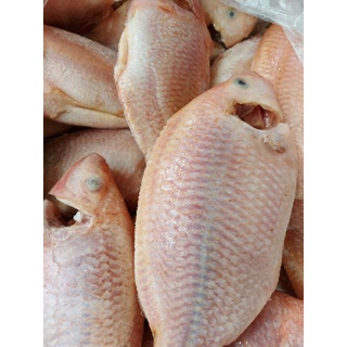 Giao HCM Hỏa tốc Cá Diêu Hồng Làm Sạch 0.85->1.2kg