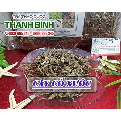 Cây Cỏ Xước 100g (Tươi - Khô) - 100% Thiên Nhiên