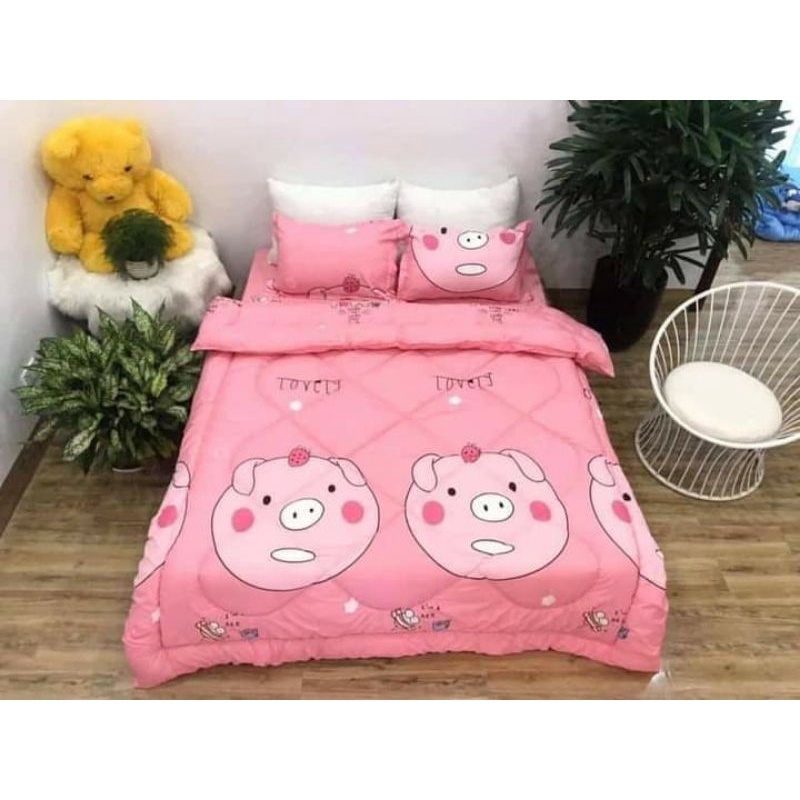 Set bộ Chăn Ga 5 Món Chất Cotton Cực Mát