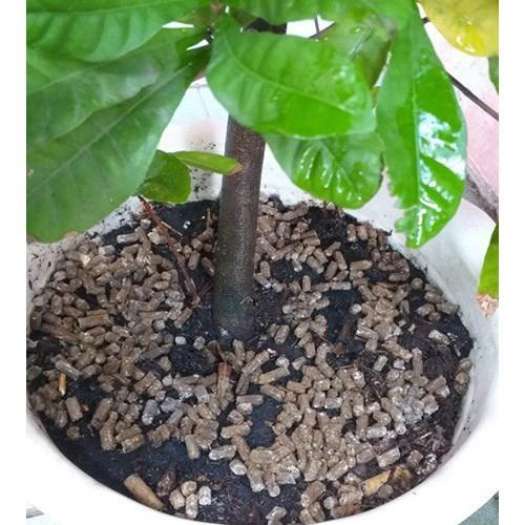 Phân Gà Nhật Hữu Cơ Sử dụng Cho Rau Màu Cây Ăn Trái Cây Kiểng Không Gây Mùi Gói 1kg