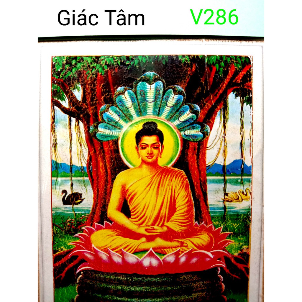 Tranh thêu PHẬT TỔ - 40x50cm - V286 - BỔN SƯ THÍCH CA MÂU NI PHẬT CỘI BỒ ĐỀ THIÊN NGA - tranh thêu chữ thập chưa thêu