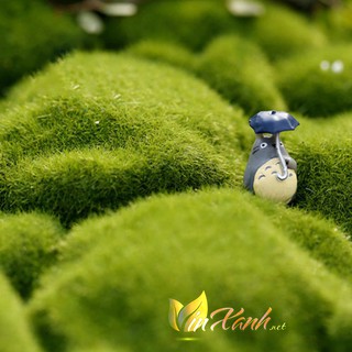 Rêu nhân tạo 6-8cm trang trí tiểu cảnh, hồ cá, nhà cửa