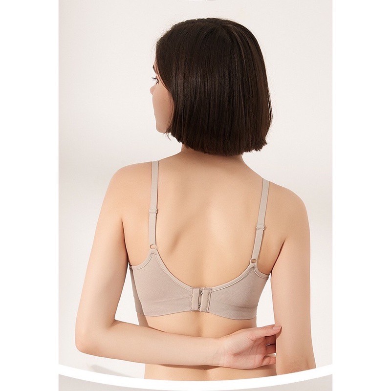 Áo lót A001 trơn cotton đệm vừa không gọng hàng cao cấp