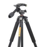 Chân máy ảnh Tripod Beike Q-303