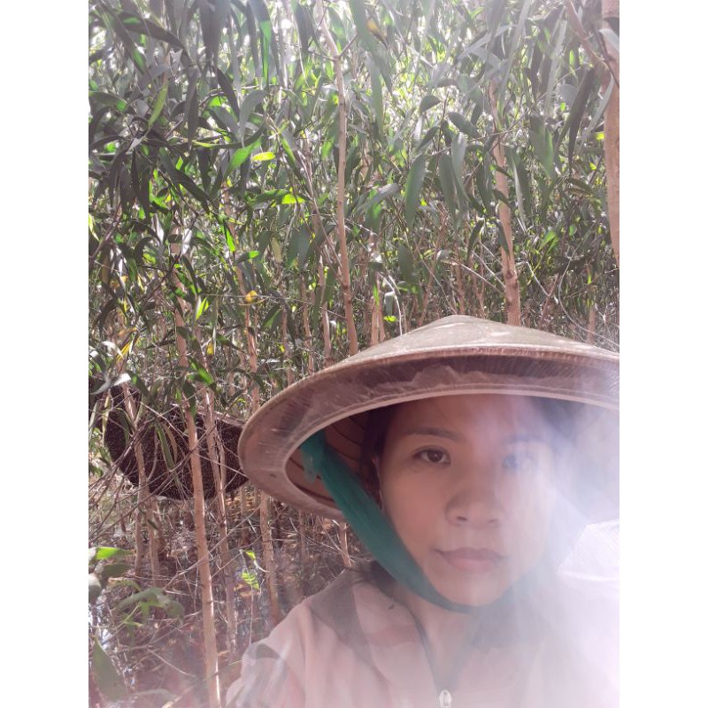 Mật ong rừng U Minh Hạ