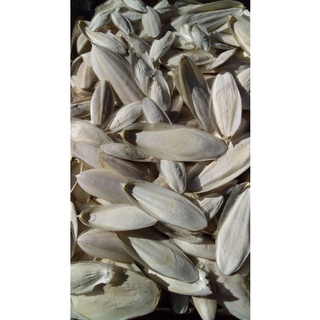 Nang mực khô nguyên miếng sạch sẽ 100gr size nhỏ